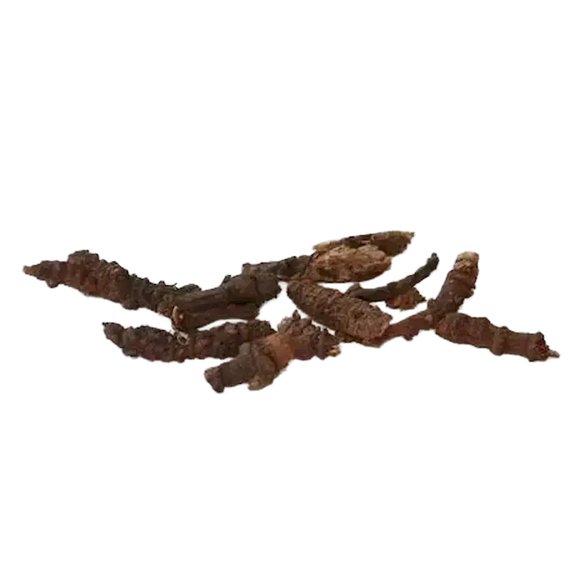 Notopterygium Root
