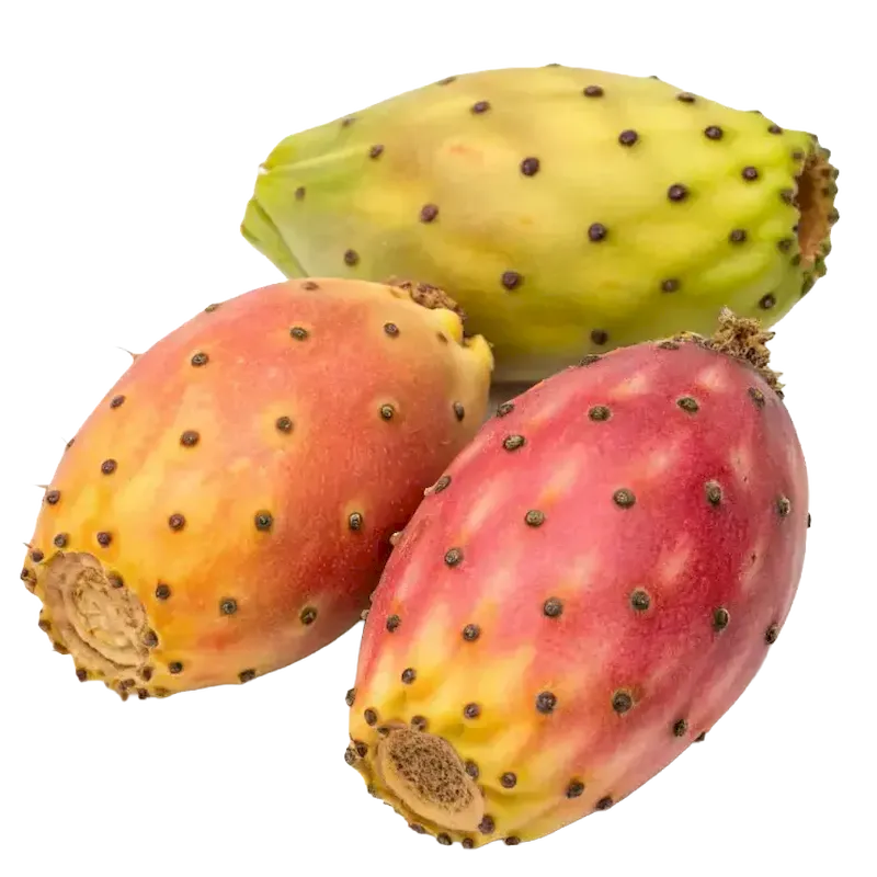 Prickly Pear