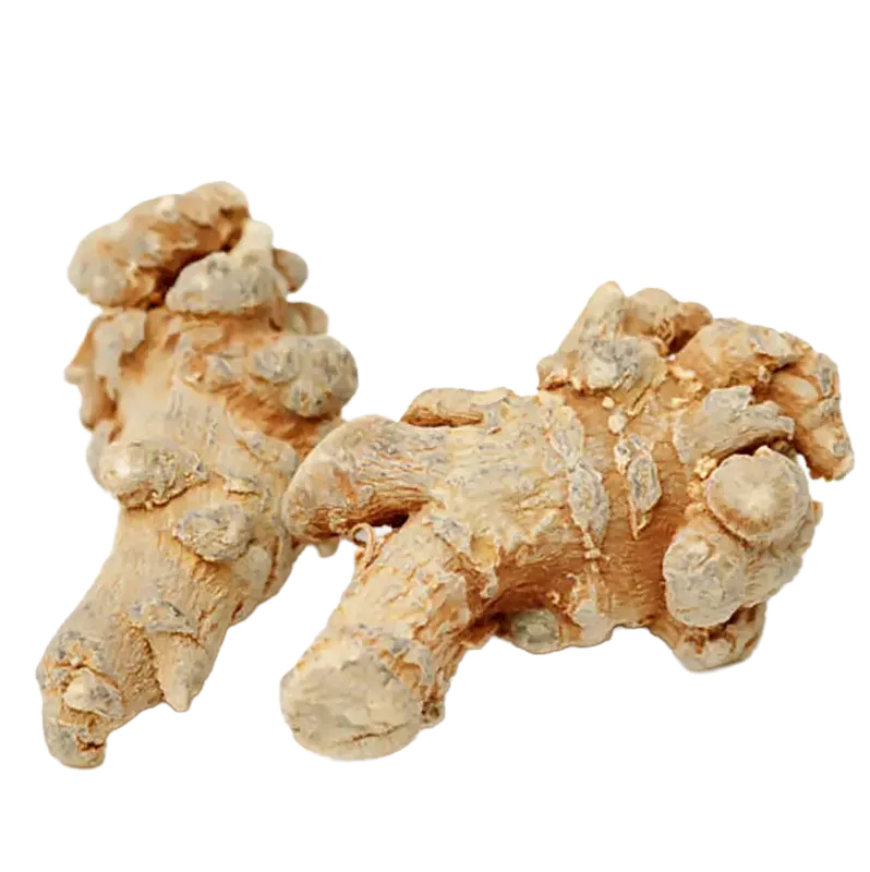 Notoginseng