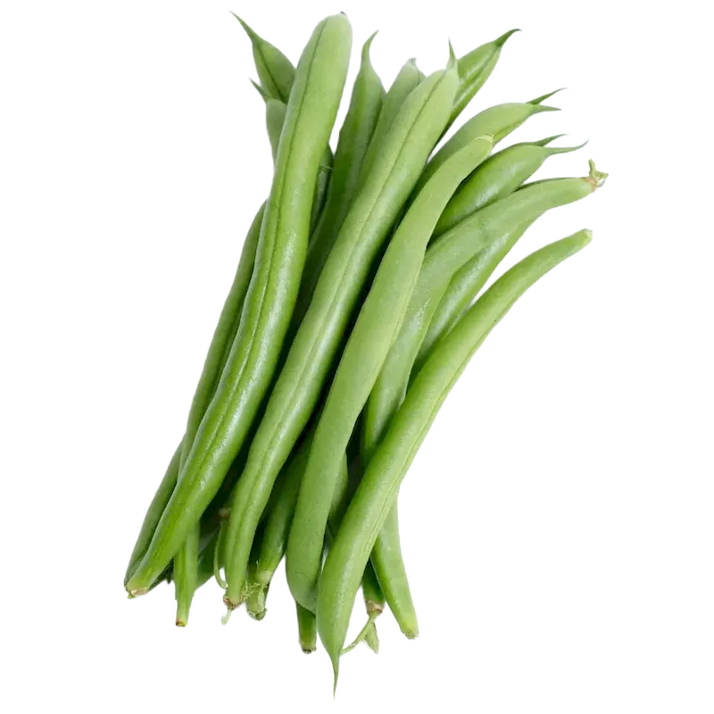 French Bean