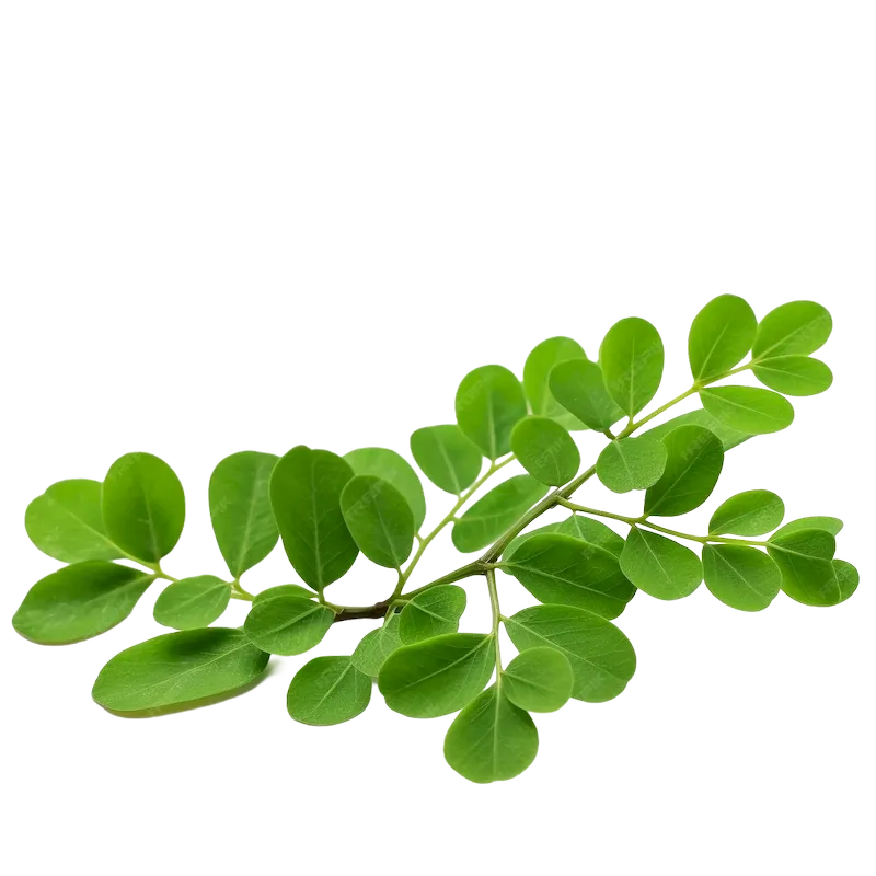 Bhuiamla