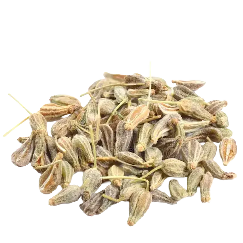 Anise