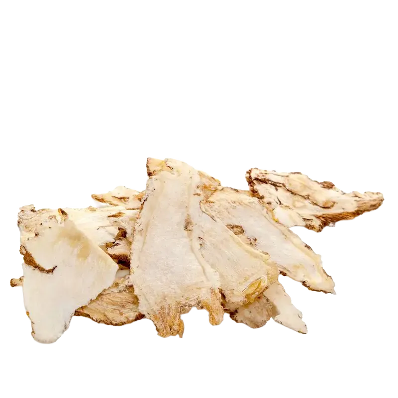 Sanicle