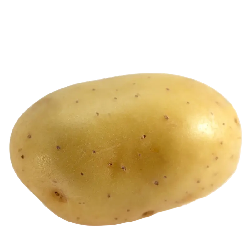 Potato