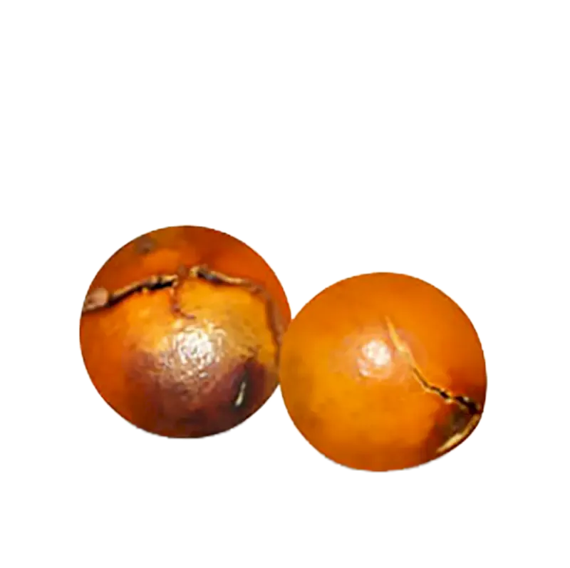 Nux Vomica