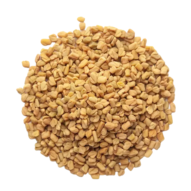 Fenugreek