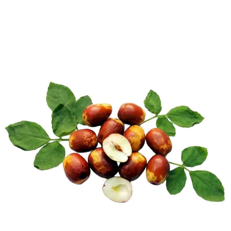 Jujube