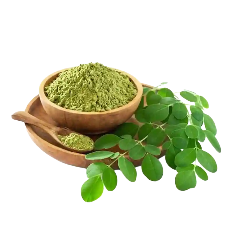 Moringa