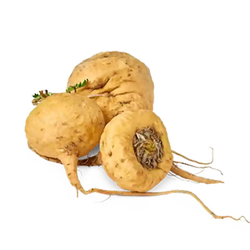 Maca