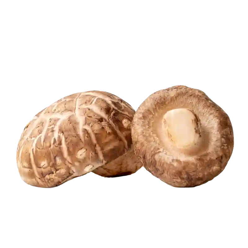 Shiitake