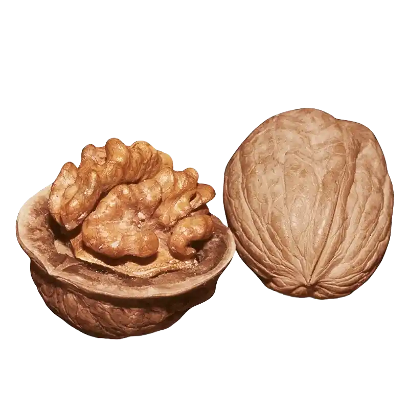 Walnut