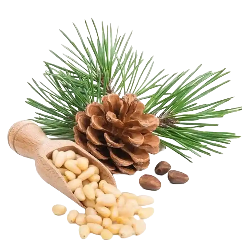 Pine Nut
