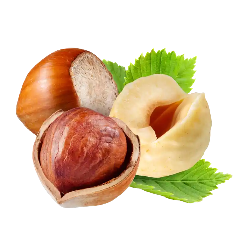Hazelnut