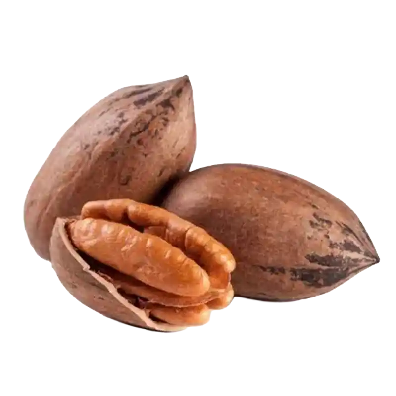 Pecan