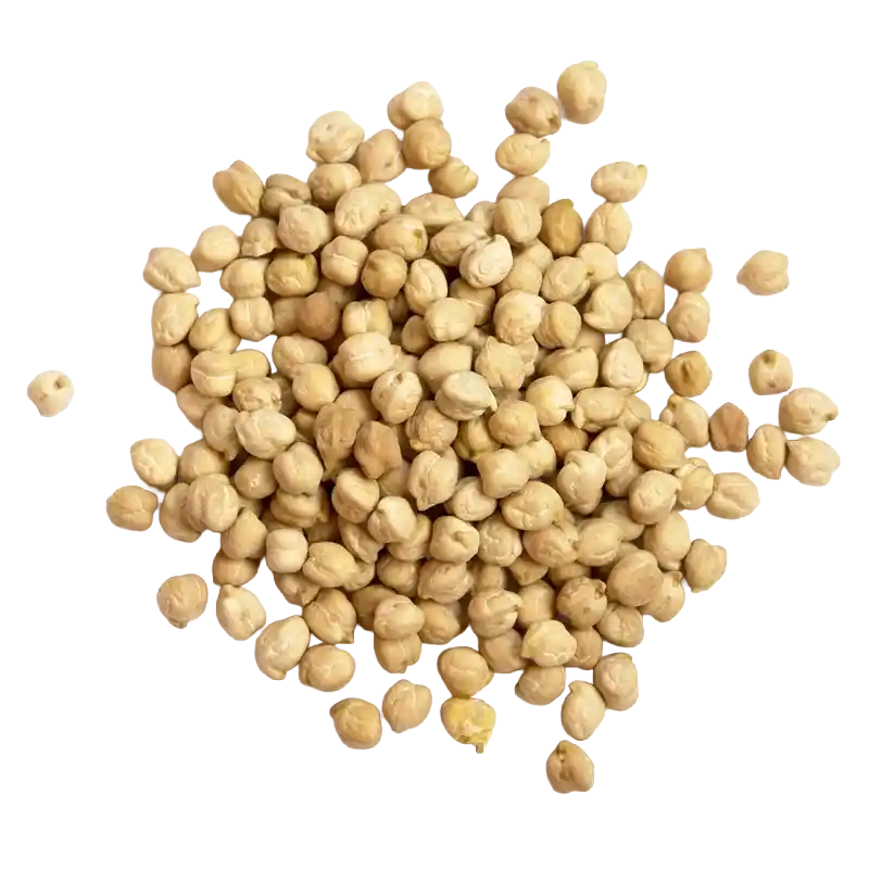 Chickpea