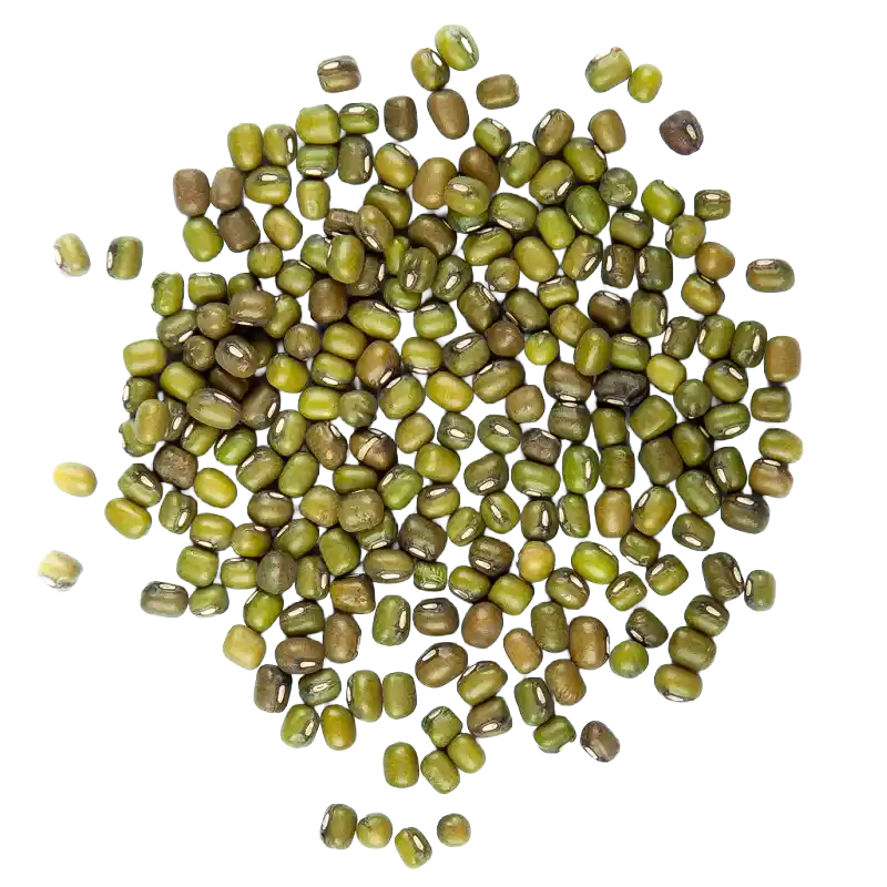Mung Bean