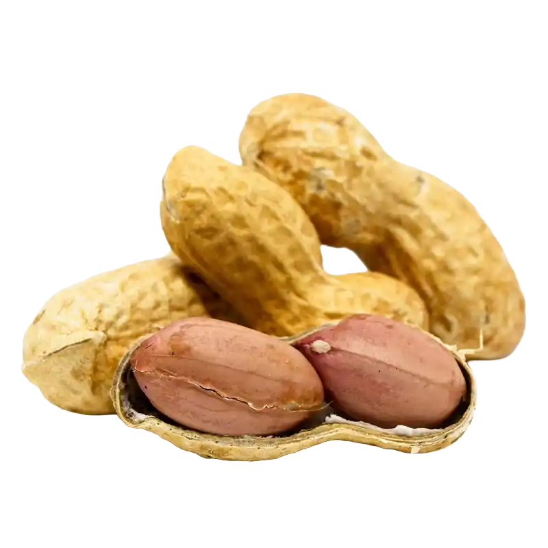 Peanut