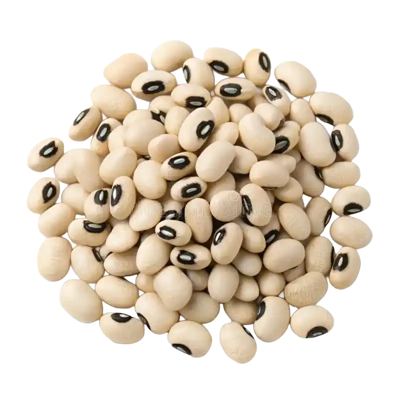 Cowpea (Black-eyed Pea)
