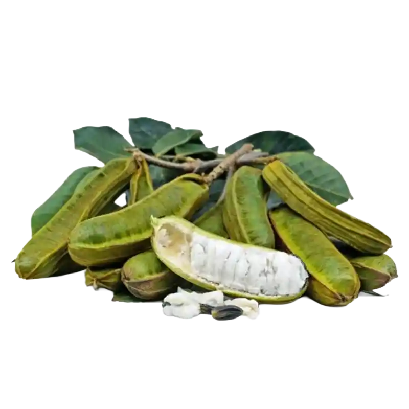 Ice Cream Bean