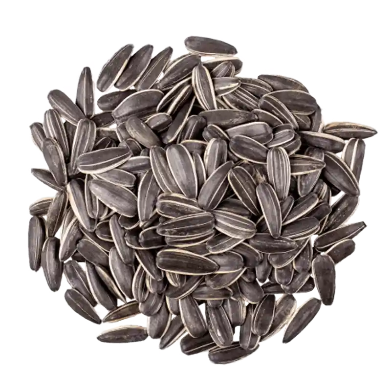 Sunflower Seed