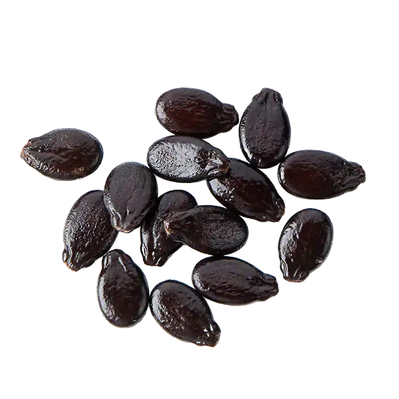 Watermelon Seed