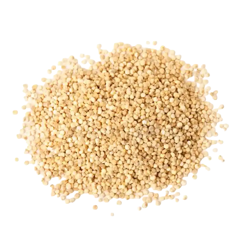 Quinoa
