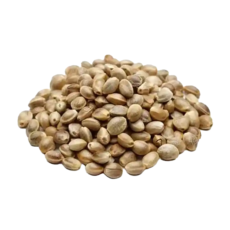 Hemp Seed