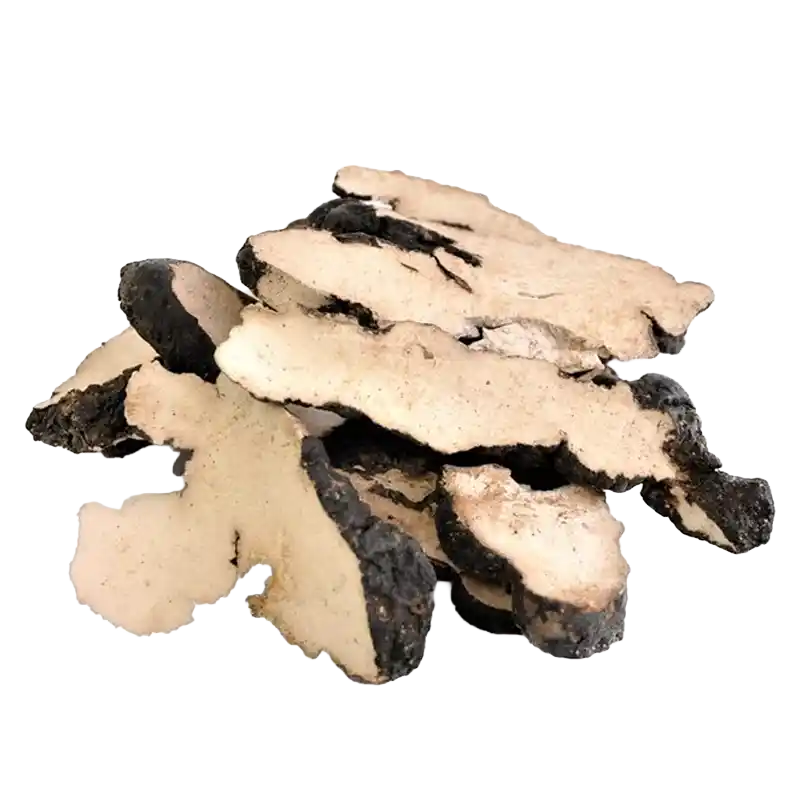 Zhu Ling (Polyporus)