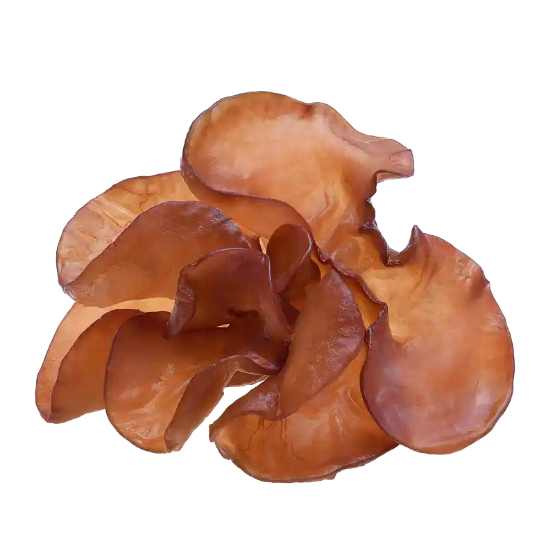 Wood Ear