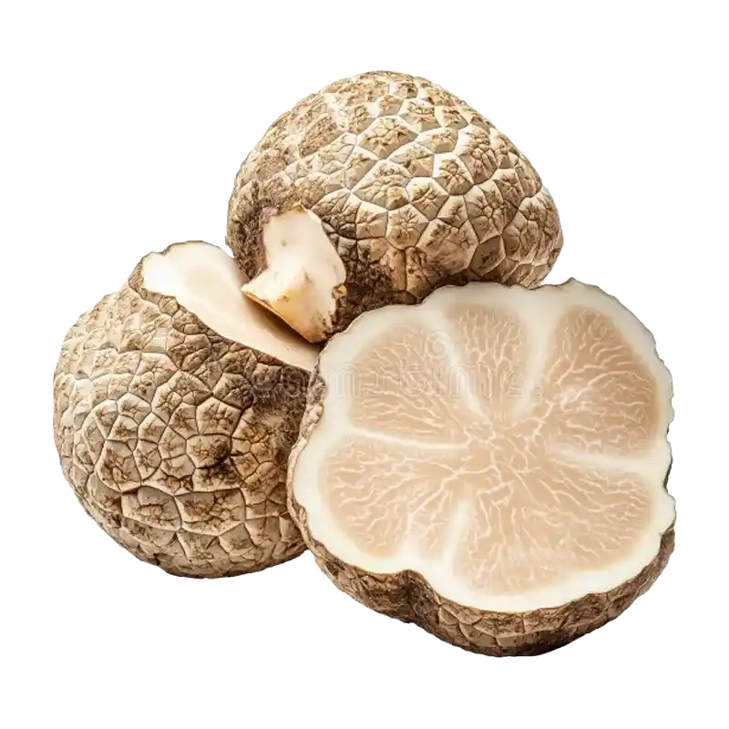 Desert Truffle