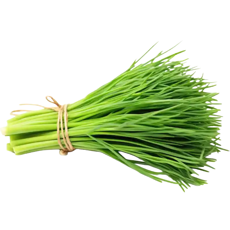 Chives
