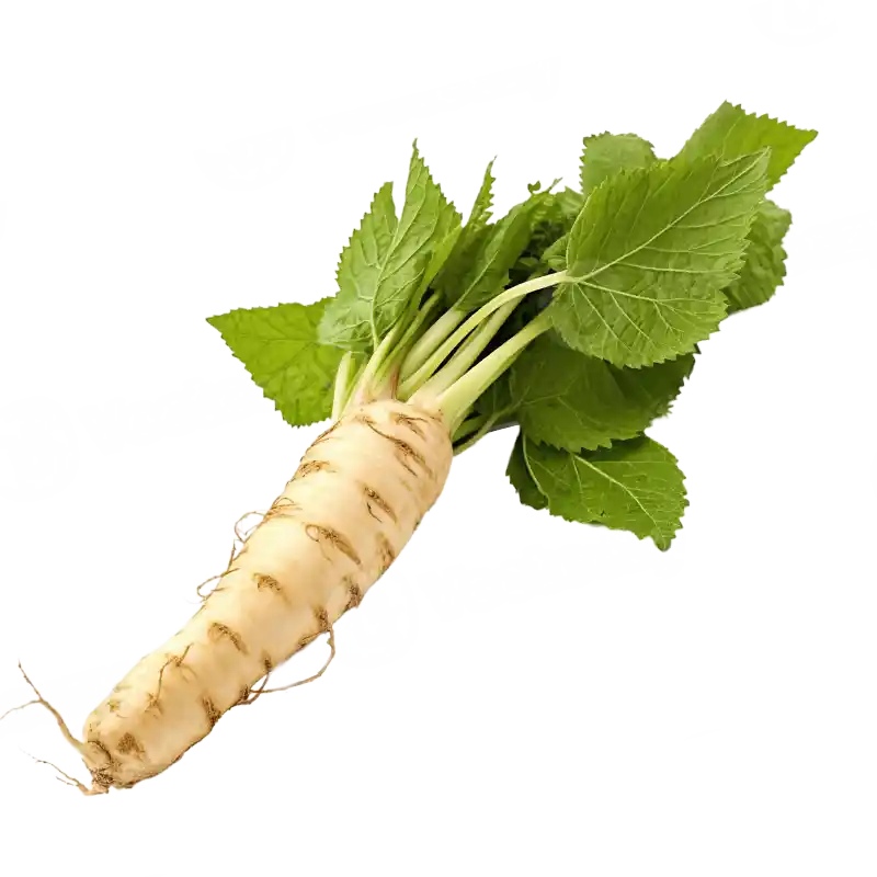 Horseradish