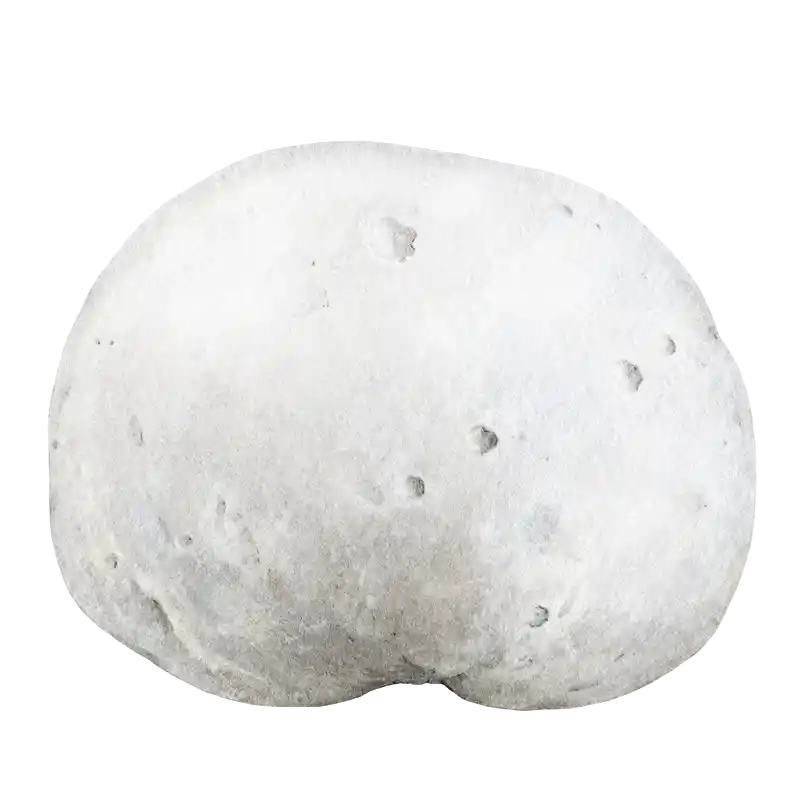 Giant Puffball