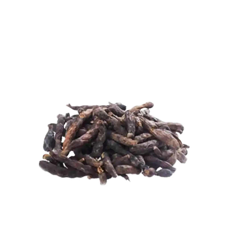 Grains of Selim (Negro Pepper)