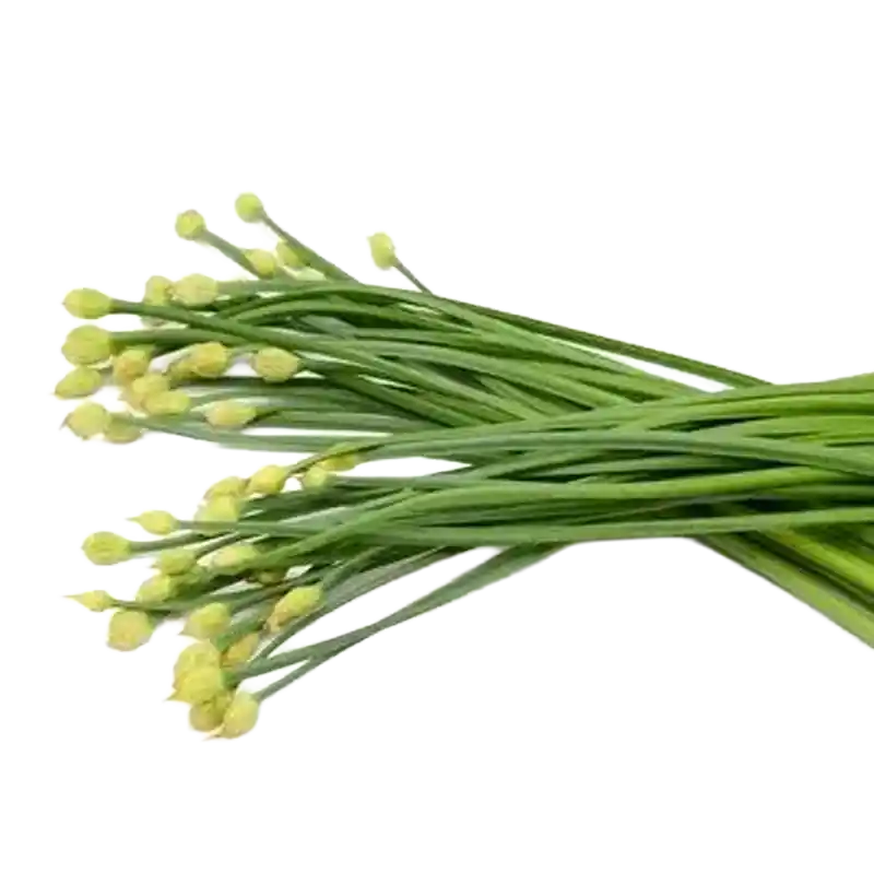 Garlic Chives (Chinese Chives)