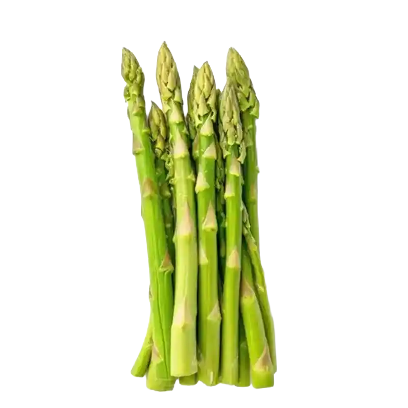 Safed Musli (Asparagus adscendens)