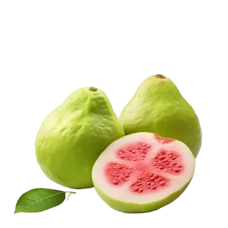 Careya (Wild Guava relative)