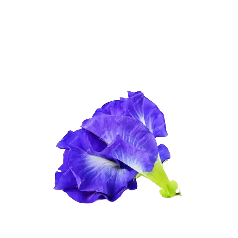 Butterfly Pea (Blue Tea)