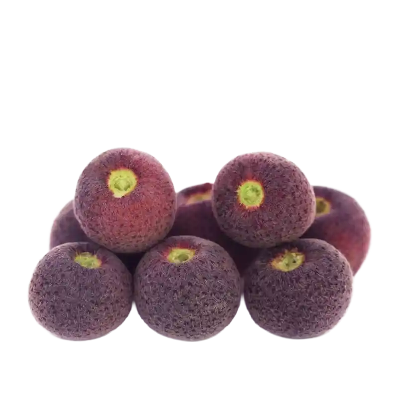 Phalsa (Falsa)