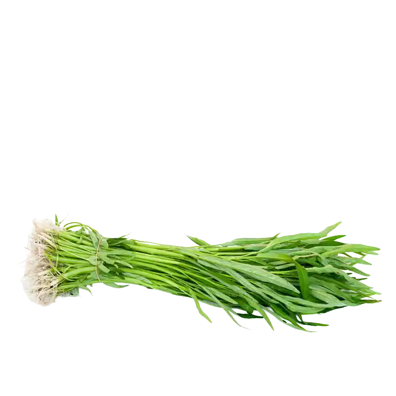 Water Spinach (Kangkong)