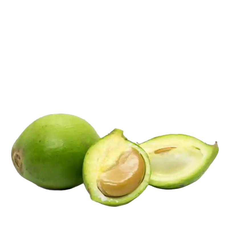 Mahua (Butter Tree)