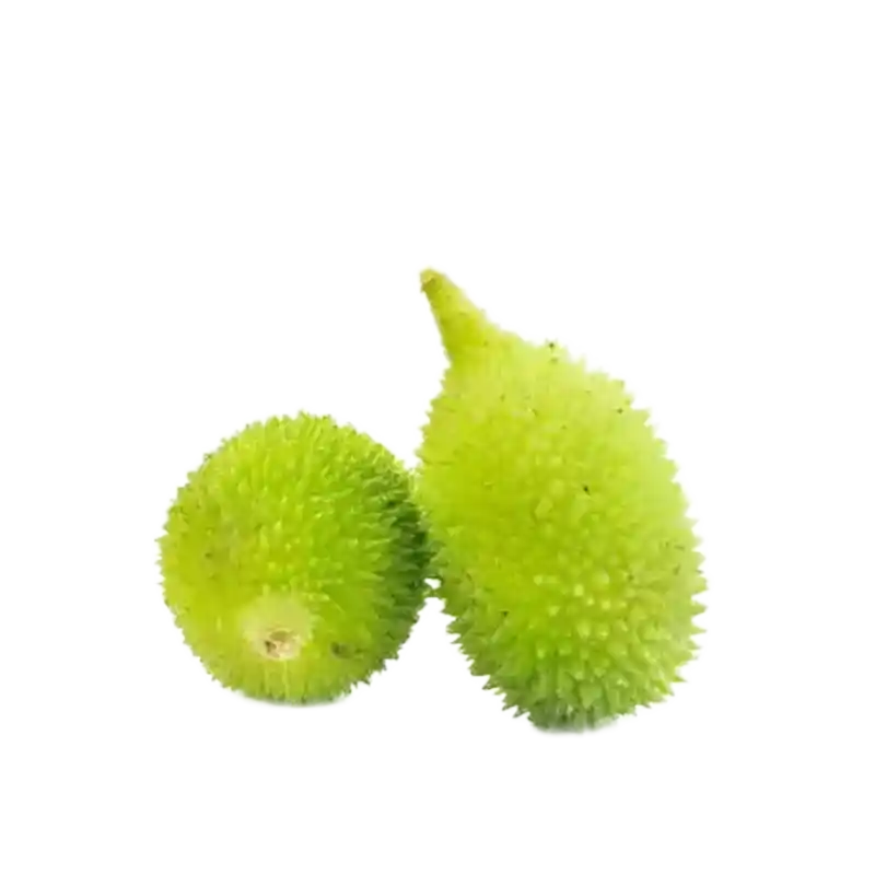 Spine Gourd (Kakrol)