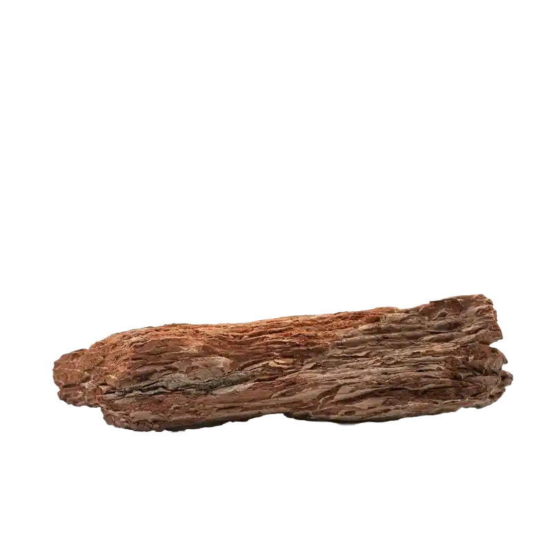 Sandan (Tinsa Tree)