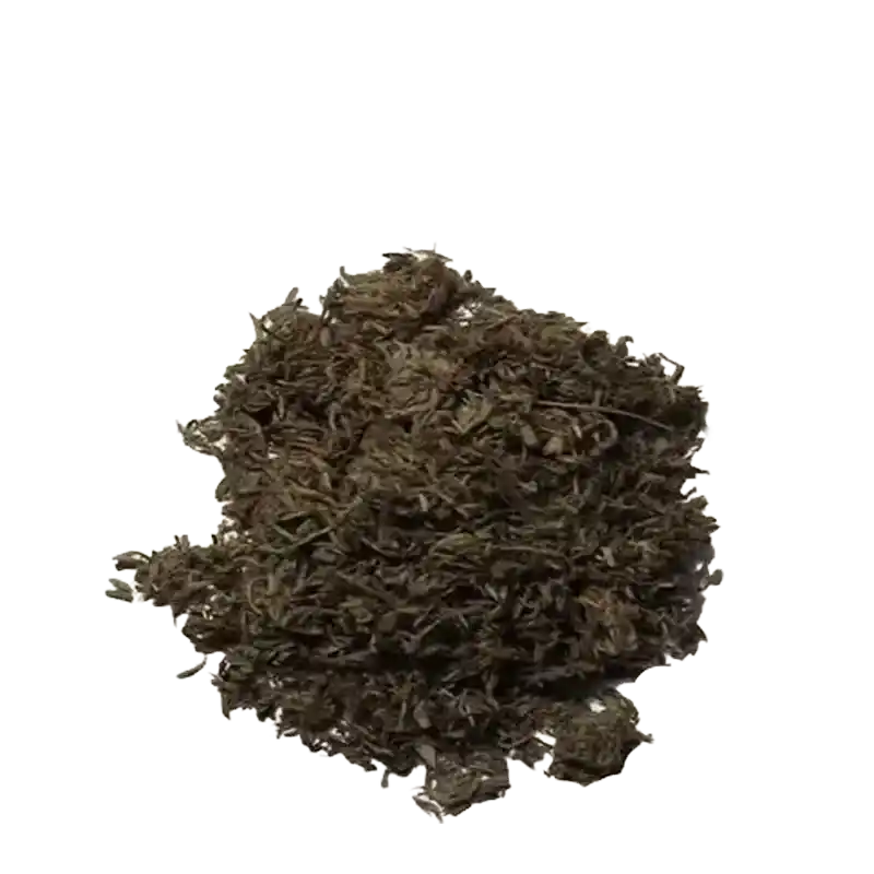 Redstem Wormwood (Yin Chen relative)