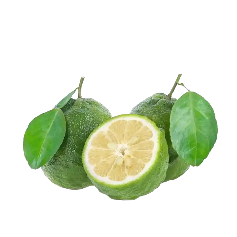 Bitter Orange (Zhi Shi/Zhi Ke)