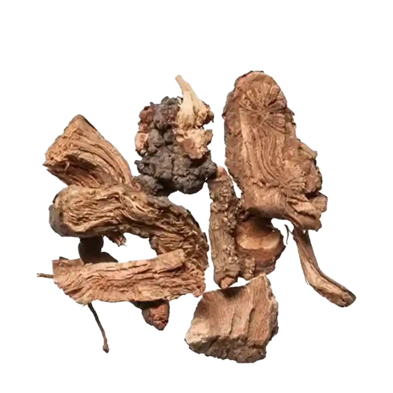 Nippon Yam (Chuan Shan Long)