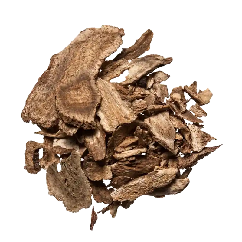 Costus Root (Chuan Mu Xiang)