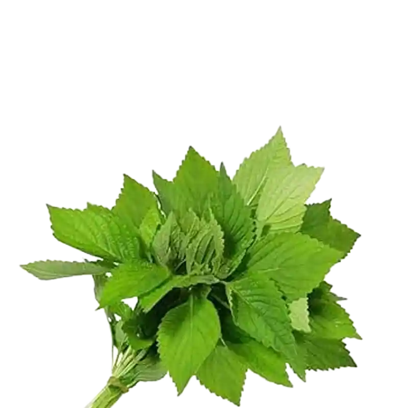 Vietnamese Balm (Xiang Ru)