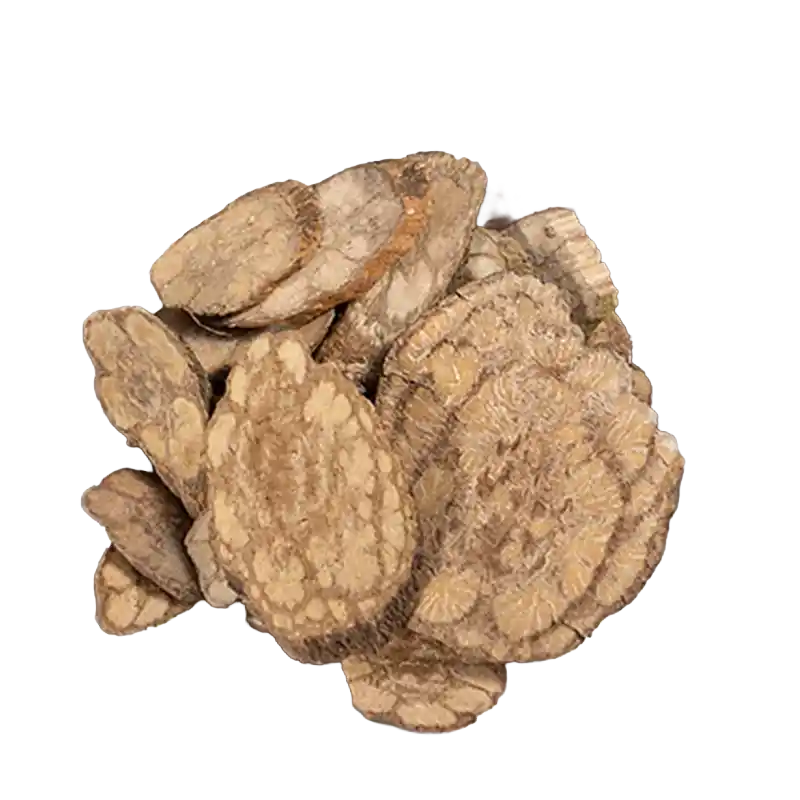 Ding Gong Teng (Erycibe)