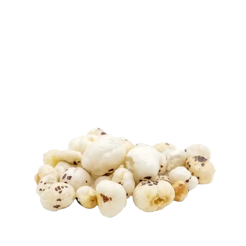 Fox Nut / Makhana (Qian Shi)